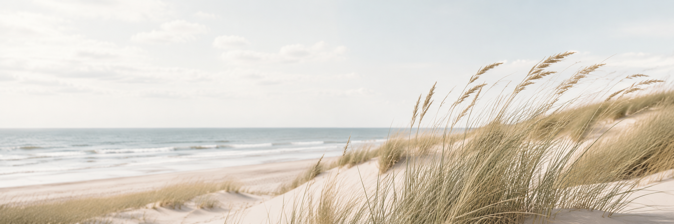 Duinen en strand